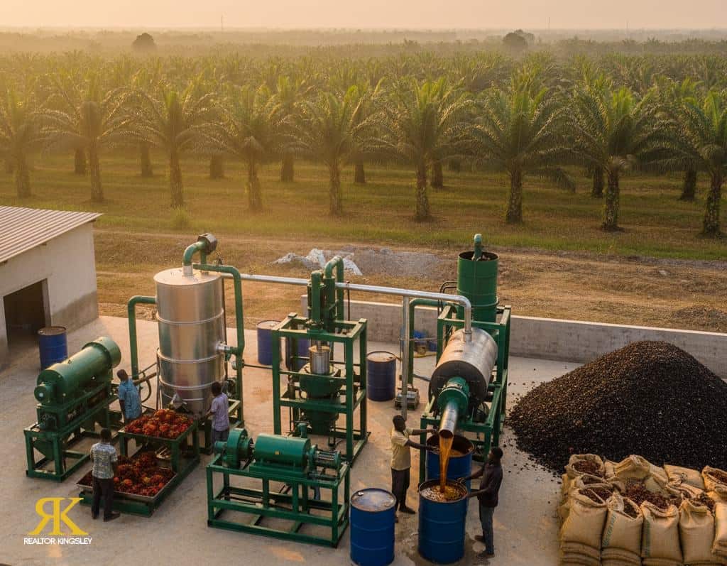 Palm Crest | RealtorKingsley