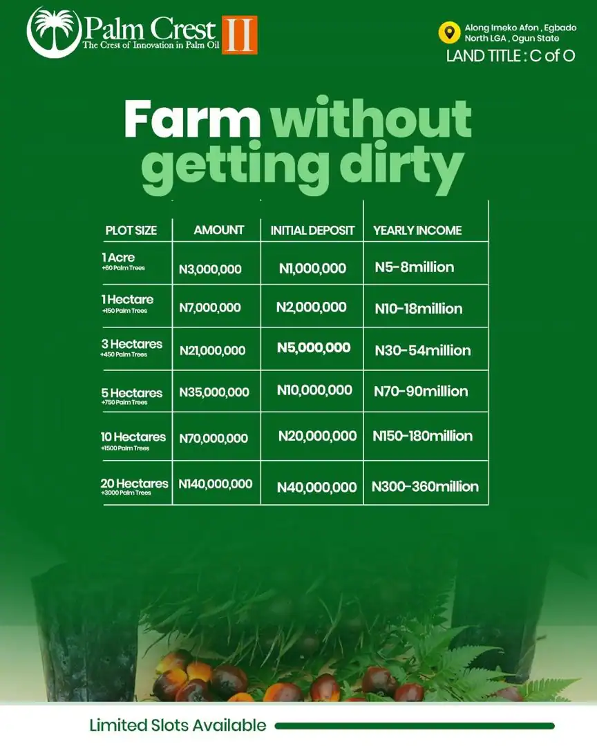 Palm Crest Projections