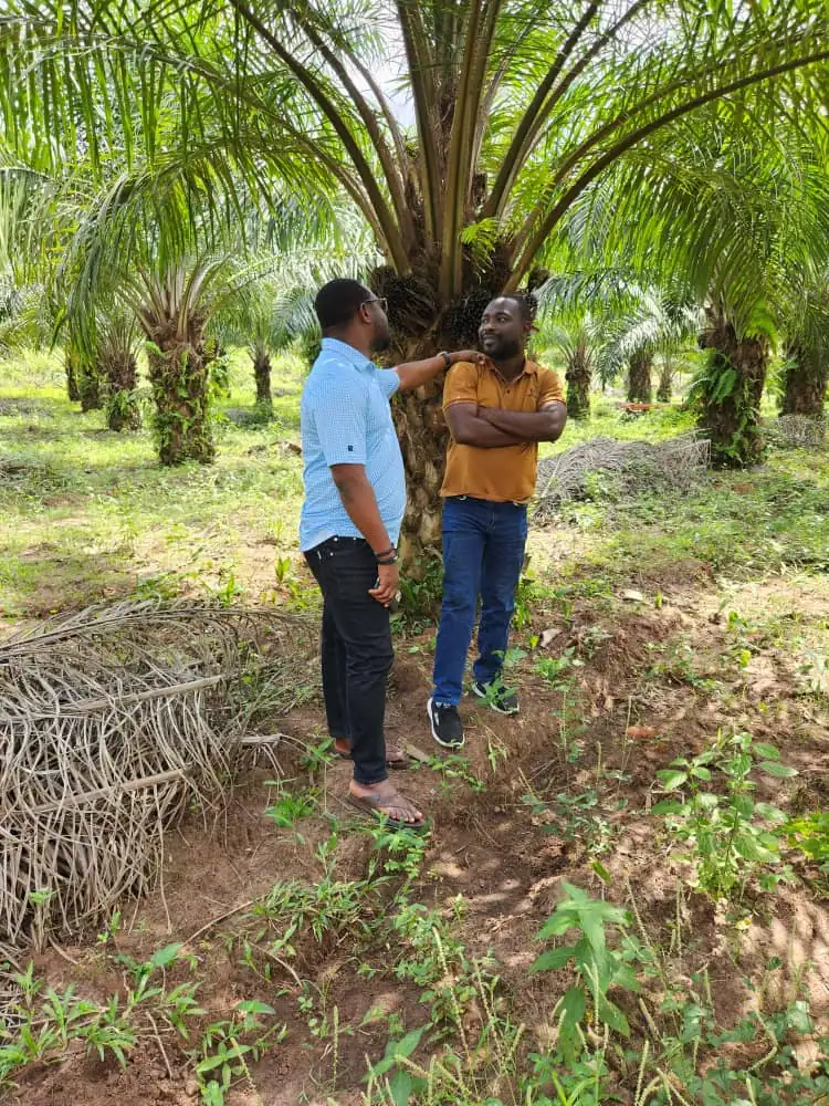 CEO, Dr. David on site inspection at Palm Crest